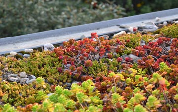 the cost of Winterton green roof installation