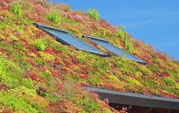Winterton living roof systems