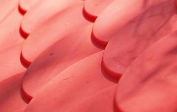 Winterton plastic roof costs